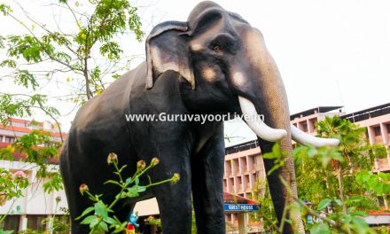 Guruvayoor Kesavan