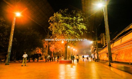 Temples In Guruvayoor