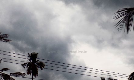 വേനലിനു കുളിരായി മഴയെത്തി