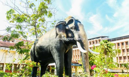 Places To See Around Guruvayur Temple