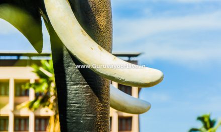 ഗുരുവായൂർ ആനയോട്ടം ചെന്താമരാക്ഷൻ വിജയി