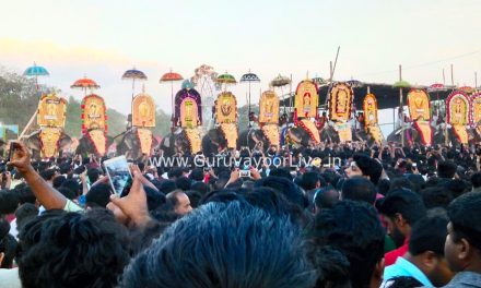 വർണ കാഴ്ചകൾ ഒരുക്കി ചാലിശ്ശേരി പൂരം