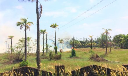 കോട്ടപ്പടി തരിശൂപാടത്ത് തീപിടുത്തം