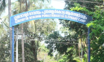 ഗുരുവായൂരിനോട് വിടവാങ്ങി ശേഷാദ്രി എന്ന കൊമ്പൻ