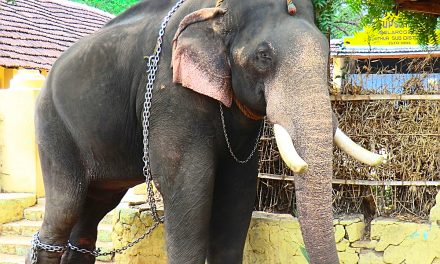 തിരുവമ്പാടി ശിവസുന്ദറിന് കണ്ണീരിൽ കുതിർന്ന വിട