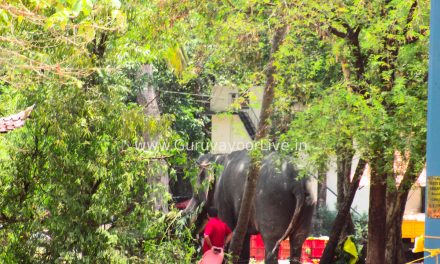 ഗുരുവായൂർ ക്ഷേത്രത്തിൽ ആന ഇടഞ്ഞു