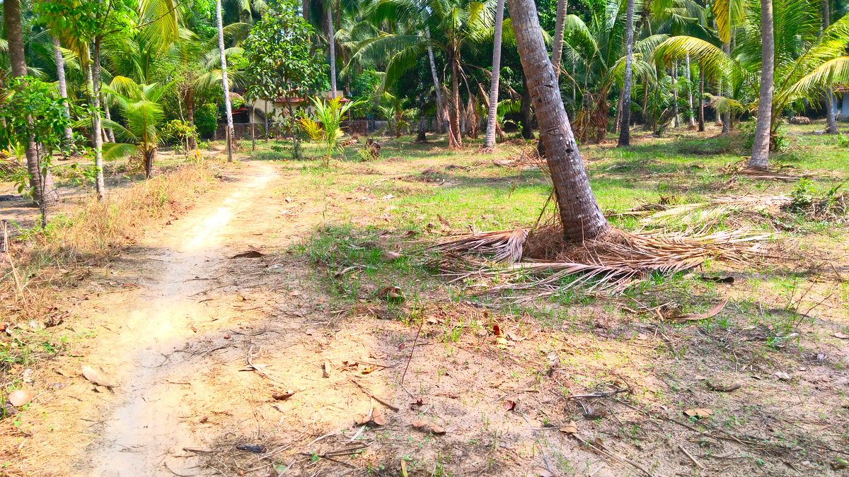 House Plots For Sale Near Mammiyoor