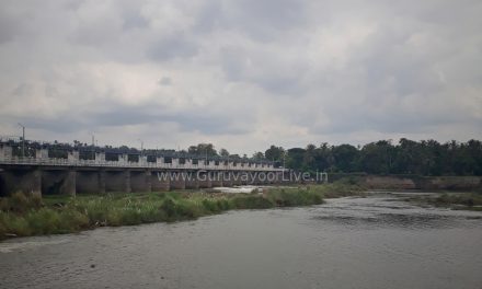 ദൃശ്യഭംഗിയും മായകാഴ്ചയും ഒരുക്കി വെള്ളിയാംകല്ല് പൈതൃക പാർക്ക്