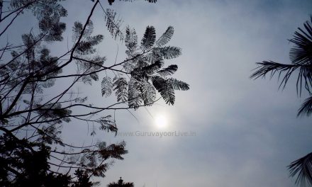 പകൽ വെയിൽ പൂത്തുലഞ്ഞു നാടിനു ആശാസം