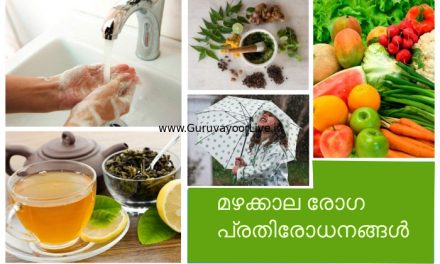 മഴക്കാല രോഗ പ്രതിരോധനങ്ങൾ